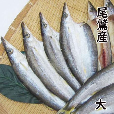 カマスひらき 干物 塩干し 大2枚 産地直送  尾鷲市 九鬼町 紀州  国産 無添加 ひもの 魚介 ...