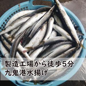 カマスひらき 干物 塩干し 大2枚 産地直送 ...の詳細画像1