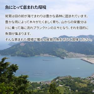 5種 干物セット 詰め合わせ お中元 ギフト ...の詳細画像4