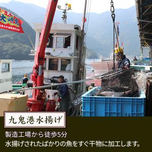 お中元 ギフト 干物セット 5種 干物 魚に合...の詳細画像3