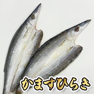 お歳暮 9種 干物セット 詰め合わせ ギフト ...の詳細画像3