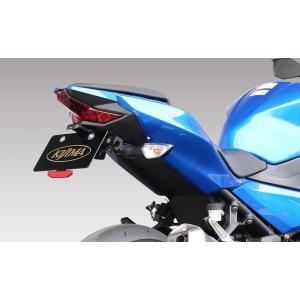 Ninja250（ニンジャ）EX250L フェンダーレスキット ADIO（アディオ