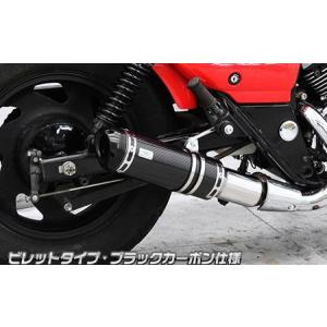 US-T900タイプマフラー ASAKURA（浅倉商事） エリミネーター250V（後期