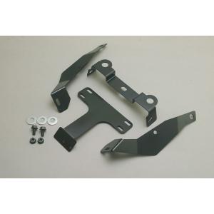 GSX250E/GSX400E ザリ フェンダーレスキット ACP（エーシーピー