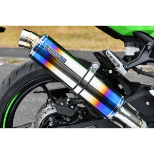 Ninja 250/400 ストライカー スリップオン マフラー STRIKER (ストライカー) スリップオン マフラー Ninja250