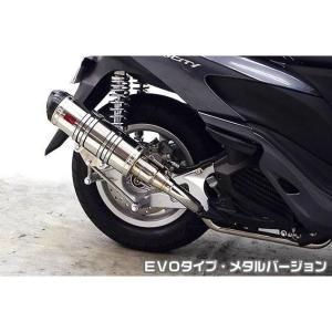 ロイヤルマフラー ユーロタイプ カーボン仕様 ウイルズウィン