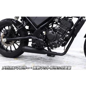 WirusWin（ウイルズウィン） CL250（8BK-MC57） オープンエンド