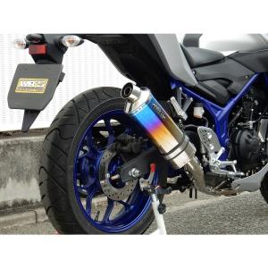 WirusWin（ウイルズウィン） WirusWin CB223S マフラー本体 CB223S用
