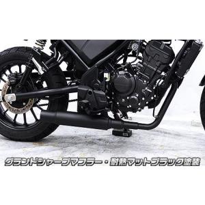 WirusWin（ウイルズウィン） CL250（8BK-MC57） オープンエンド