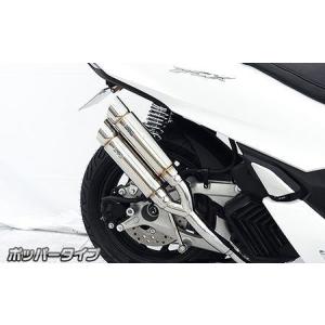 WirusWin（ウイルズウィン） PCX PCX（2BJ-JK05）用 サイレンサー型