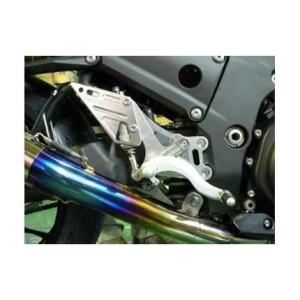 NINJA ZX-14R ハイパーバンク （固定式） （シルバー） BEET（ビート）