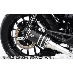 WirusWin（ウイルズウィン） GB350S（8BL-NC59） スリップオンマフラー