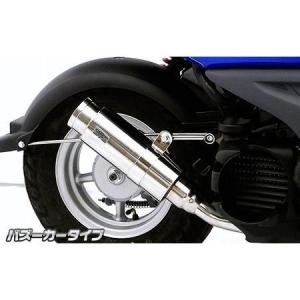 FP4-50マフラー ウイルズウィン（WirusWin） ビーウィズ（BWS50