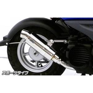 FP4-50マフラー ウイルズウィン（WirusWin） ビーウィズ（BWS50