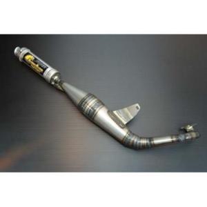 レッツ（Let's）、レッツ（Let's）2系 パラライザー3チャンバー chameleon（カメレ...