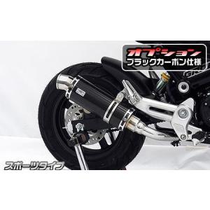ホンダ CB250R 2018-2023 LCIPARTS ショートカーボンスリップオン