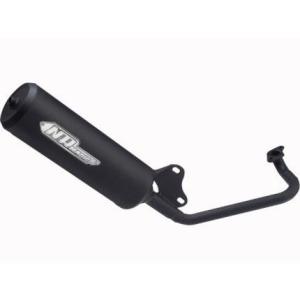 FP4-50マフラー ウイルズウィン（WirusWin） ジョグ（JBH-SA36J