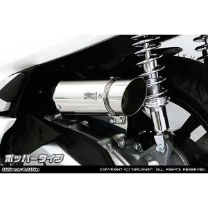 サイレンサー型エアクリーナーキット ウイルズウィン（WirusWin