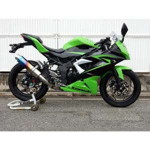 BEET ニンジャ H2 CARBON(2BL-ZXT02J)( クリアチタン仕様