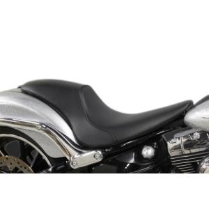 NS-1後期用FRP片目ゼッケンプレート Ninja ZX-25R ゼッケンプレート – A-TECH Online Shop