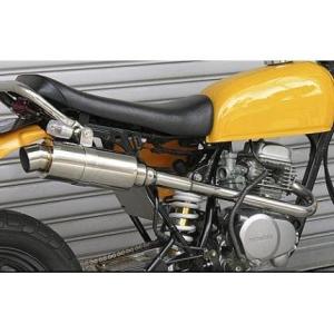 エイプ50（APE） ロッドショートマフラー ウイルズウィン（WirusWin