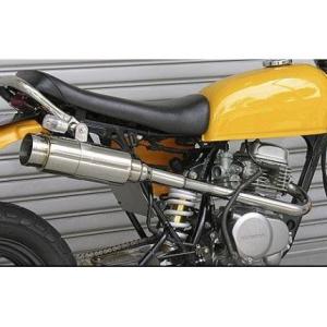 エイプ50（APE） ロッドショートマフラー ウイルズウィン（WirusWin