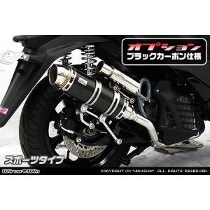 ロイヤルマフラー ユーロタイプ カーボン仕様 ウイルズウィン