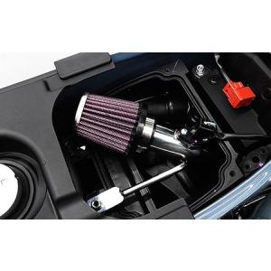 WirusWin（ウイルズウィン） パワーフィルターキット ダックス125