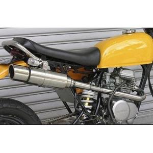 エイプ50（APE） ロッドショートマフラー ウイルズウィン（WirusWin