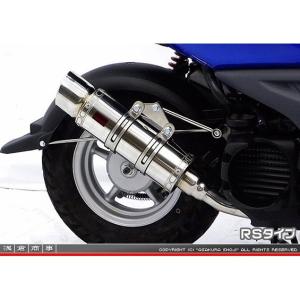 FP4-50マフラー ウイルズウィン（WirusWin） ビーウィズ（BWS50