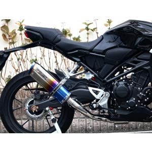Wiruswin CB250R マフラーステンレスユーロタイプフルエキゾースト ダイナミックマフラー ユーロタイプ ステンレス フル