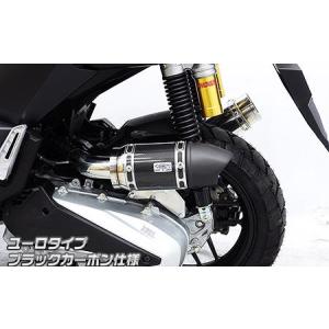 ADV160（8BK-KF54） サイレンサー型 エアクリーナーキット ユーロタイプ ブラックカーボン仕様 ウイルズウィン（WirusWin）｜hamashoparts2