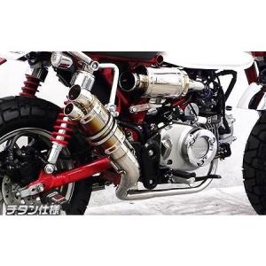 シャープダウンマフラー ウイルズウィン（WirusWin）マグナ50（MAGNA