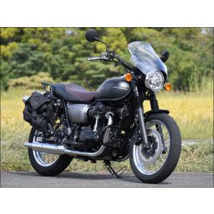 ガイラシールド クリア Mサイズ CHIC DESIGN（シックデザイン） W800 STREET（19年）