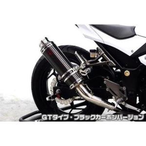 Z400（19年） SS-OVALソリッドタイプ スリップオンマフラー WR'S