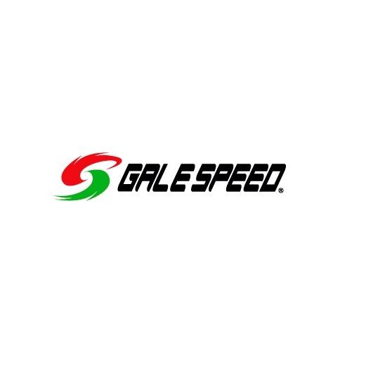 ZX-25R/SE（20〜21年） リア用 550-17 ゴールド （TYPE-SB1） GALE ...