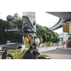 ウインドスクリーン スモーク WORLD WA...の詳細画像2