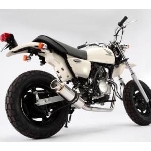 NSR50 BEET エアロシャーク ☆ BEET CBR250RR NSR250 R 用 エアロシャーク フェンダ 検