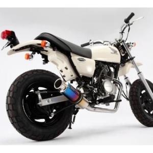 エイプ50（APE） ロッドショートマフラー ウイルズウィン（WirusWin
