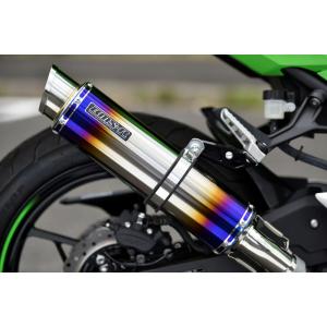 Ninja250/ABS（JBK-EX250L） ラウンドタイプ スリップオンマフラー