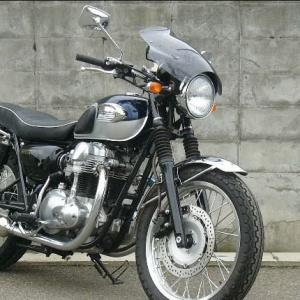 ガイラシールド スモーク CHIC DESIGN（シックデザイン） W650