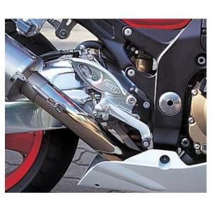 ZX-12R ハイパーバンク （固定式） シルバー BEET（ビート）