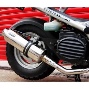BEAMS（ビームス） バイク用 マフラー ズーマー50 BA - AF58 フルエキ