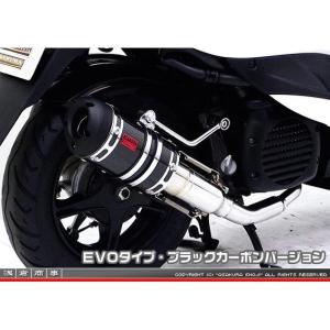 BMW R1250RS用　アールズギア　チタンドラックブルーマフラー R1250RS/R（'19～'22）リアルスペック フルエキゾースト