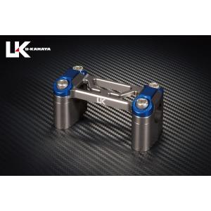 バリオス250（1型/2型） LEDテールランプASSY（レッド） ACP（エーシー
