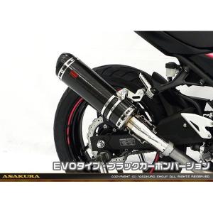 Ninja250（ニンジャ）JBK-EX250L スリップオンマフラー スポーツ