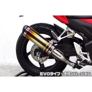 ENDURANCE(バイク) 【アウトレット】【返品交換不可】CBR250R ENDURANCE(バイク) 【アウトレット】【返品交換不可】CBR250R