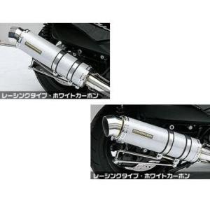 カワサキ Z1000 2010-2019 LCIPARTS ショートカーボンスリップオン