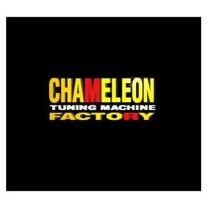 ストリートマジック110（STREET MAGIC） サークリップSET（メガトン130用：M-50...