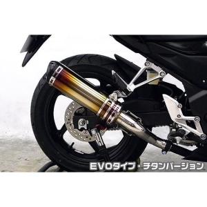 CB250F【MC43】ウィルズウィンスリップオンマフラー CB250F（14年〜） スリップオンマフラー スポーツタイプ チタン仕様